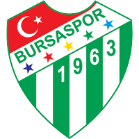 logo of Bursaspor U19