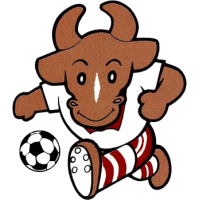 logo of Anyang LG Cheetahs FC