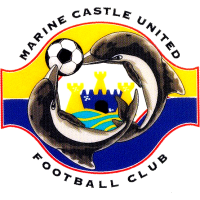 logo of Sengkang Punggol FC