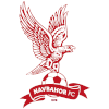 logo of Navbahor