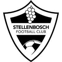 logo of Stellenbosch FC