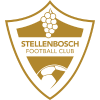 logo of Stellenbosch FC