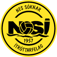 logo of NSÍ