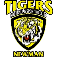 logo of Azam Tigers FSC