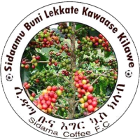 logo of Sidama Bunna