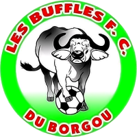 Buffles du Borgou FC