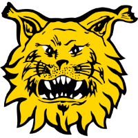 Logo Ilves Tampere
