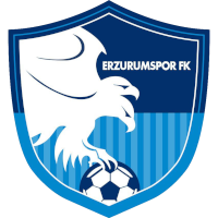 Erzurumspor FK