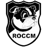 logo of ROC Charleroi-Marchienne