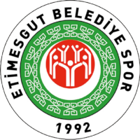 logo of Etimesgutspor