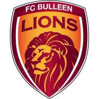 FC Bulleen Lions