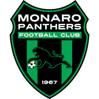 logo of Monaro Panthers FC