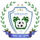 logo of Bahir Dar Ketema FC