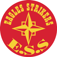 logo of Eagles Super Strikers FC