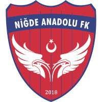 logo of Niğde Anadolu FK