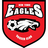 logo of New Town Eagles SC