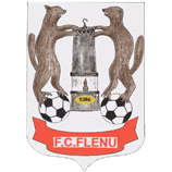 logo of FC Flénu