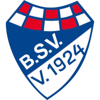 Brinkumer SV
