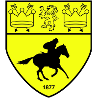 Logo Newmarket Town FC