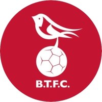 logo of Bracknell Town FC