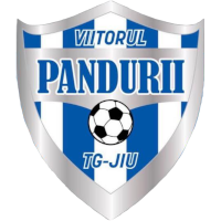 ACS Viitorul Pandurii Târgu Jiu