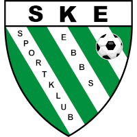 logo of SK Blitzschutz Pfister Ebbs