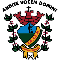 logo of VOCEM U20