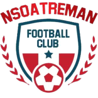 logo of Nsoatreman FC