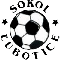 logo of St. Vincent