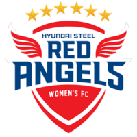 Incheon Hyundai Steel Red Angels WFC