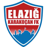 logo of Elazığ Karakoçan FK
