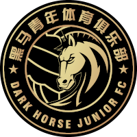 logo of Jiangxi Heima Qingnian FC