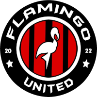 logo of Flamingo United/2