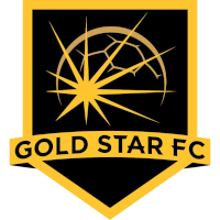 Gold Star FC Detroit