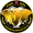 logo of Young Elephants FC