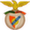 logo of Paulense DC