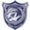 Logo of Salalah SC