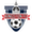logo of Kingston FC
