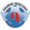 logo of FC Dinamo Yerevan