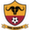 logo of Young Buffaloes FC