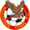 logo of Rhayader Town FC