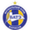 logo of FK BATE Barysaŭ