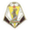 logo of FK Azneftjag Bakı