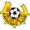 logo of Kaarinan Pojat