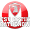 Club logo of FSV Optik Rathenow