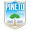 Club logo of Pineto Calcio