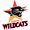 Club logo of Perth Wildcats