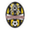 logo of Togafuafua SC