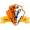 logo of US Trou aux Biches