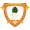 logo of Ashford Town FC